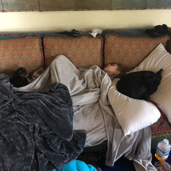 DOG FRIENDLY ENVIRONMENT😂 - Picture 14 of 16